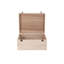 Scheider Wooden Box-25657859