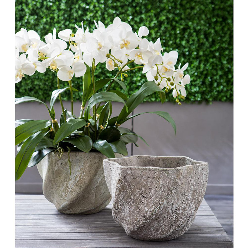 30H29W29"L PHALAE.ORCHID(P)WH