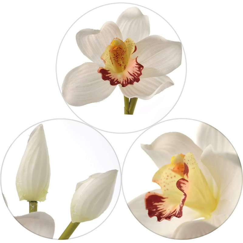 Tige en cymbidium de 30 po de hauteur avec 10 fleurs, Crème, 2