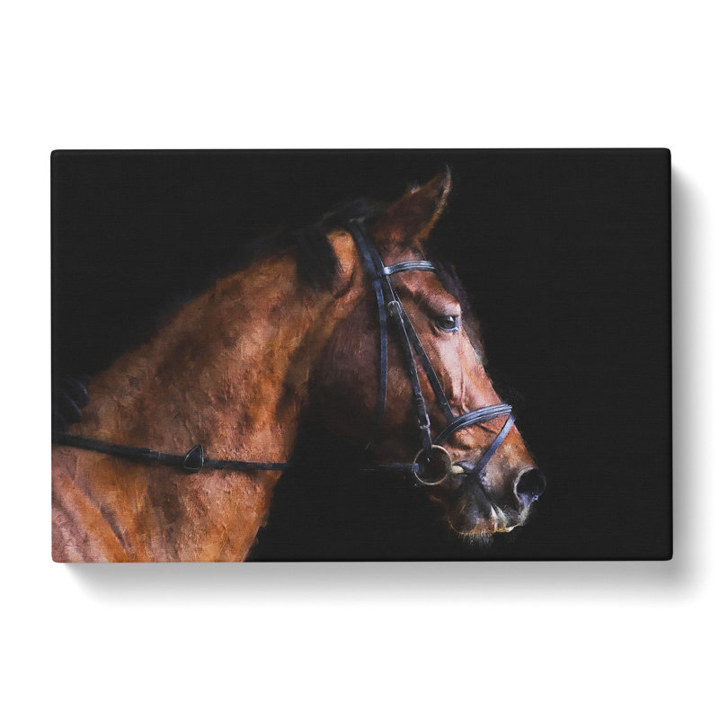 Horse Portrait - Wrapped Canvas, 35cm H x 50cm W x 3cm D