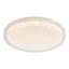 Chirley Plastic LED Flush Mount