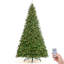 10 arbres de Noël