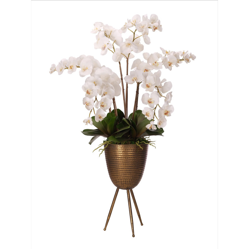 Orchid Phal, White, Metal Planter