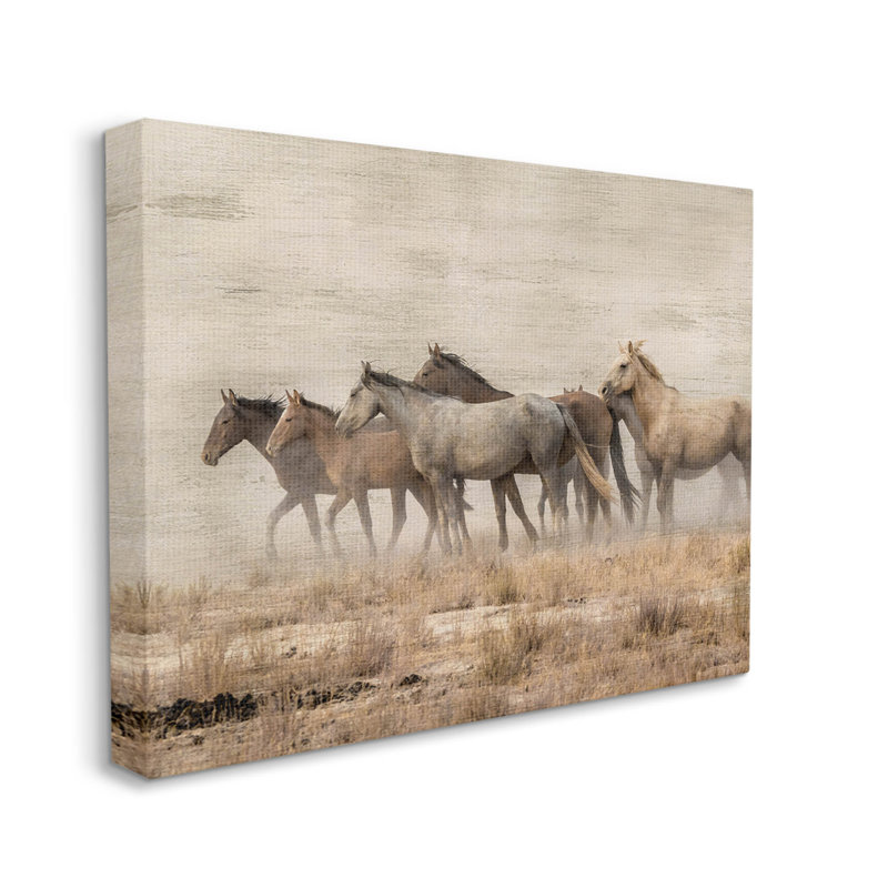Art mural sur toile campagne au galop par Danita Delimont, H 16 po x l 20 po x P 1,5 po