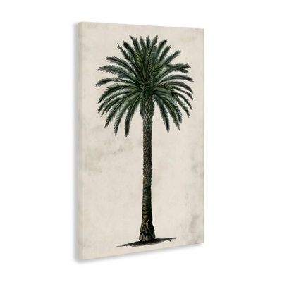 Toile de palmier botanique arrondie, design par LSR Design Studio