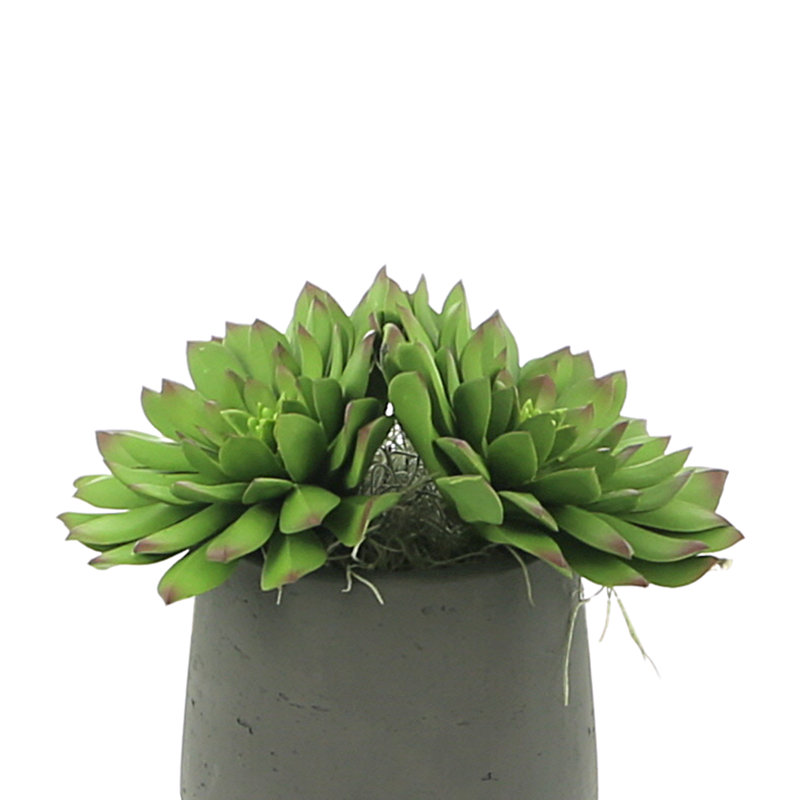 Rockridge Faux Succulent Plant in Fiberstone Pot, Black