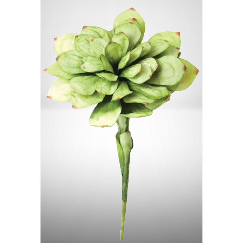Foam Succulent Arrangement