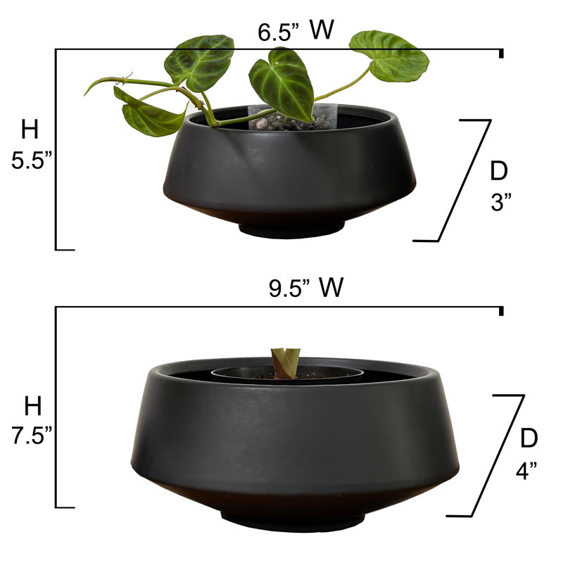 Black Ceramic Indoor Succulent Planters Set of Two
