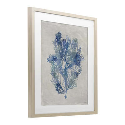 Blue Bushed Seaweed, reproduction sous verre encadrée par Amber Sterling