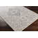 Oriental Indoor Rug