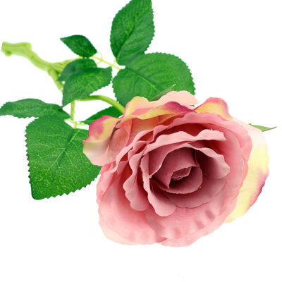 Rose Arrangement