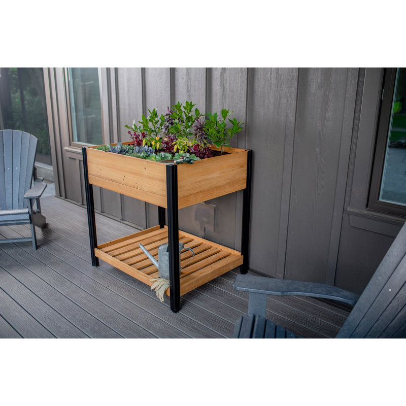 Mezza Cedar Raised Planter, 43.75" H x 40.5" W x 31.25" D