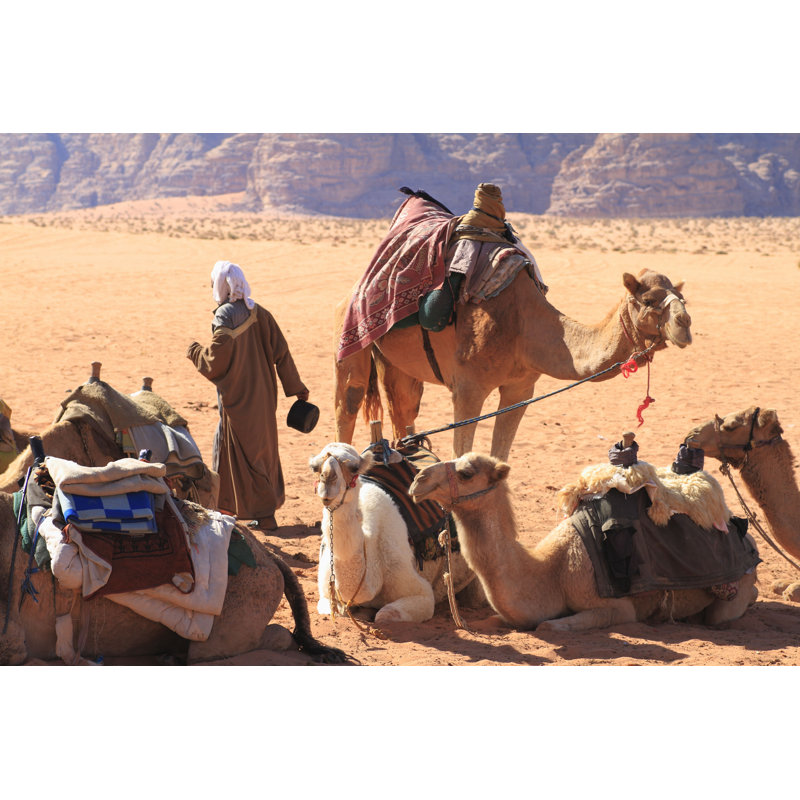 Camels par - Photographie sur toile tendue, L 12 po x H 8 po