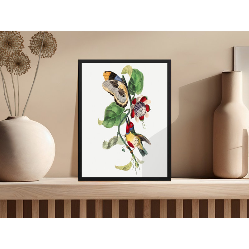 Charae Single Picture Frame Print, 35.56cm H x 27.94cm W