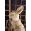  Statue de lapin d'extérieur en résine 23 po H - Shabby Chic Outdoor