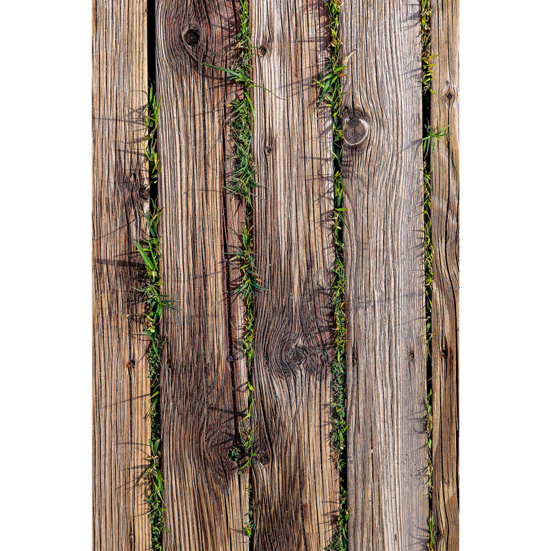 Durable Hall Carpet, 100% Polyester, 31.5 x 78.7 Inches | 650 g/m², 0.3 in Pile Height, Non-Slip PVC Dot Underside | Machine Washable, 3D Digital Printing | Ideal for Entryways & Living Spaces, Easy Care