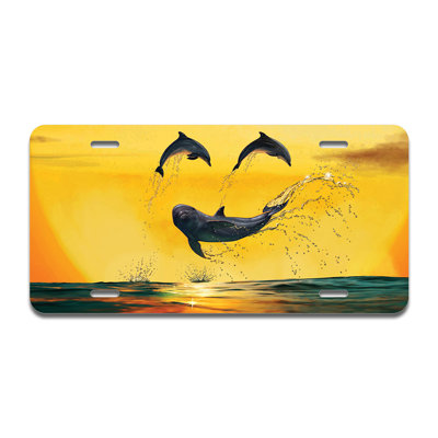 Cadre en aluminium Dolphin Smiley