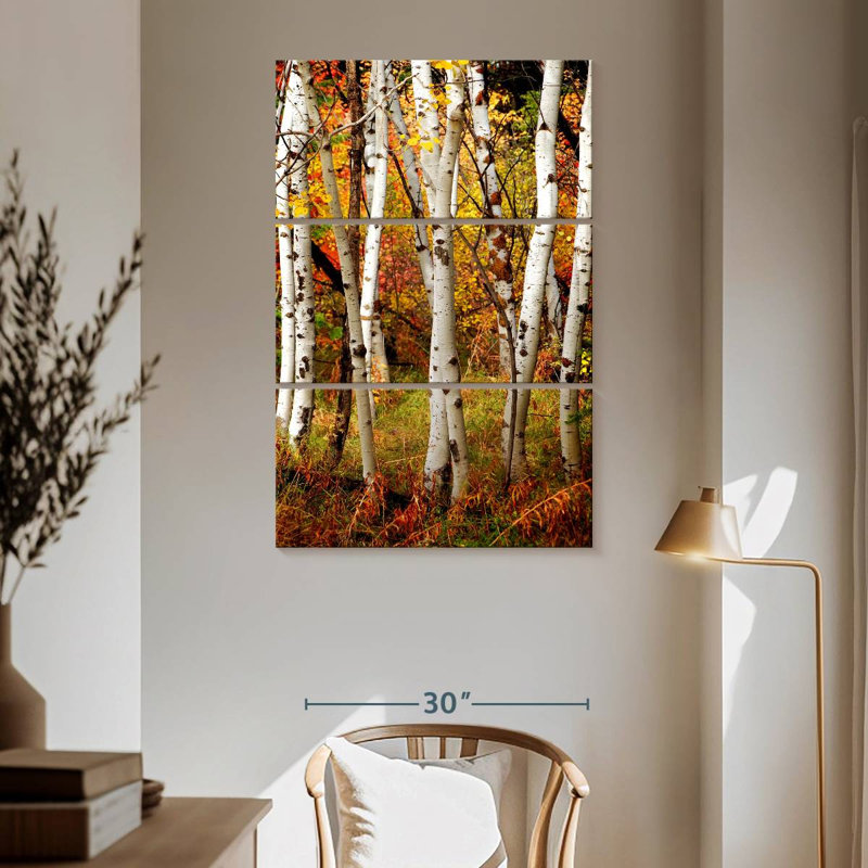 Alvord Slender Birch Trunks, 65" H x 42" W