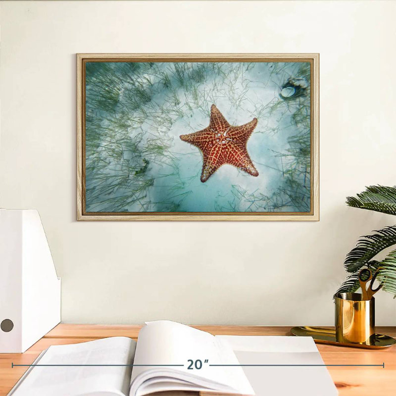 Étoile de mer peu profonde, Cadre flottant en bois naturel, 13 po x 9 po