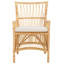 Bree Dining Chair with Cushion