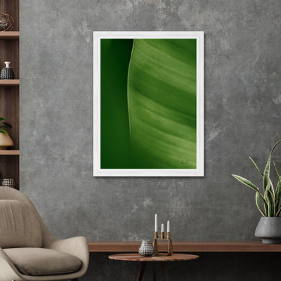 Moshi Banana Leaf