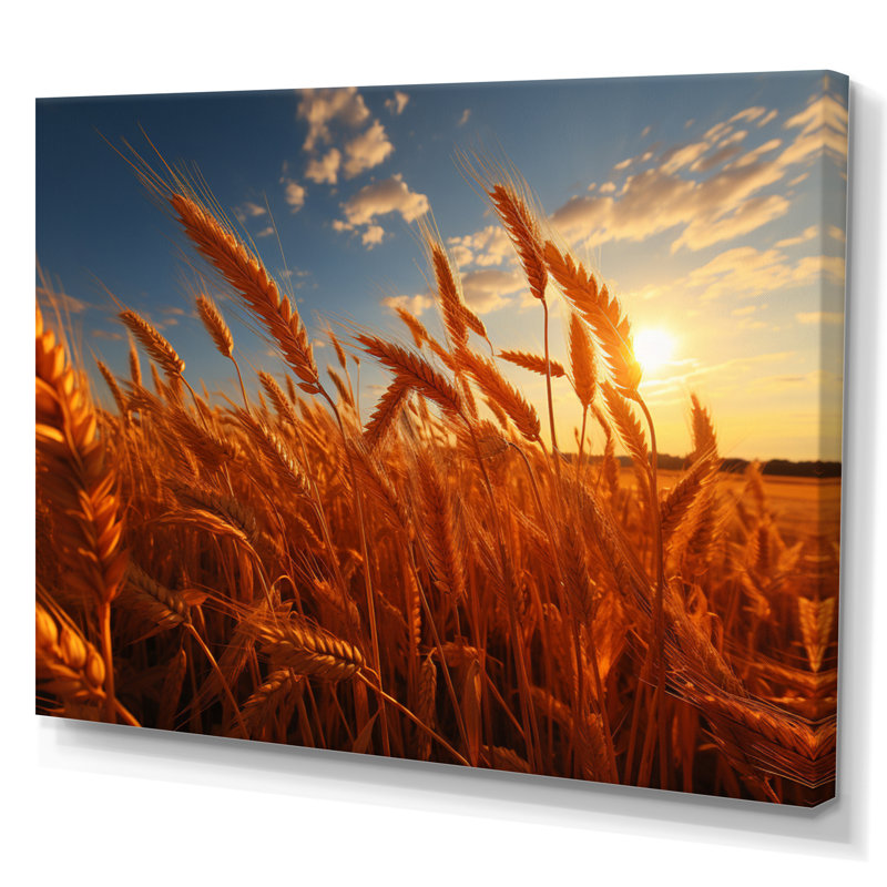 Canada Golden Harvest II - Canada, art mural sur toile, Toile tendue, H 30 po x l 40 po x P 1,5 po