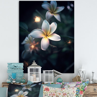 Blanc plumeria symphonie magique II