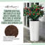 Plant Substrate-55087960
