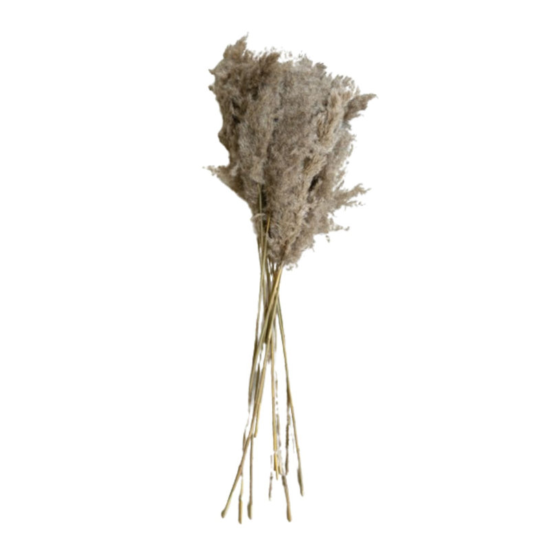 Grand paquet d'herbes de pampa naturelles - 39 po de hauteur, tiges décoratives séchées, ensemble de 4