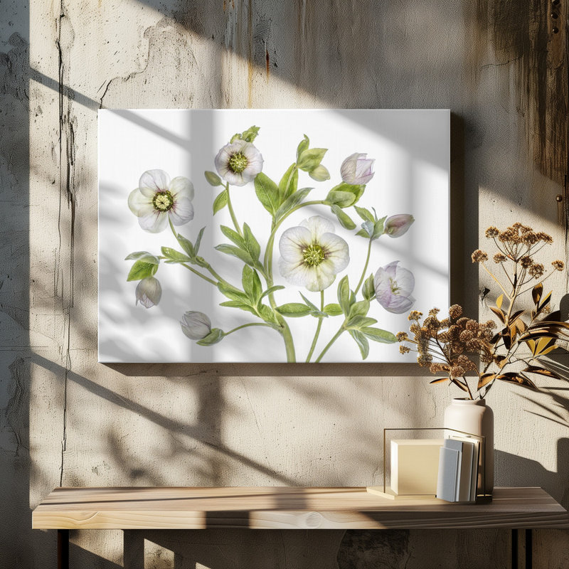Wrapped Canvas Print, 50.8 cm H x 76.2 cm W