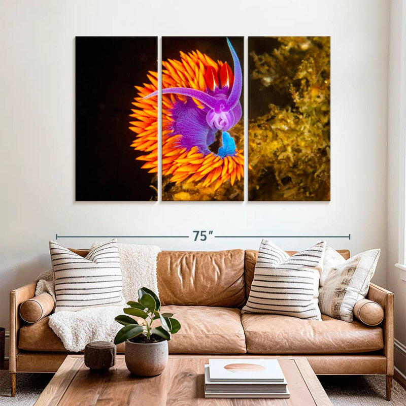 Spanish Shawl Nudibranch