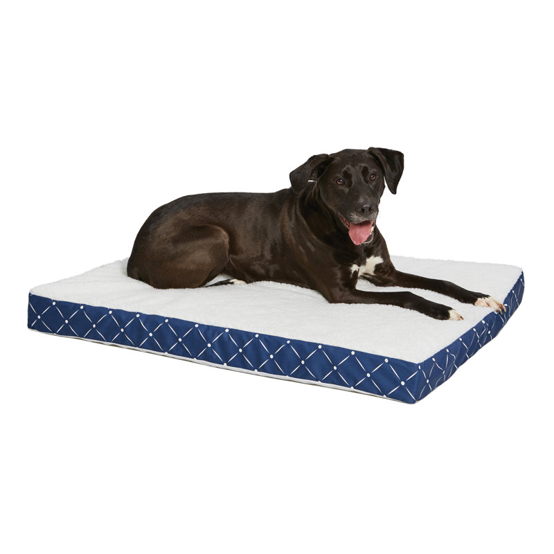 Lit pour chien Donovan orthopédique double épaisseur Quiet Time, Petit (l 40 po x P 29 po x H 3,5 po), Bleu