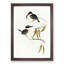 Sacred Halcyon Kingfishers by Elizabeth Gould - Picture Frame Painting Print-55613401-55613402