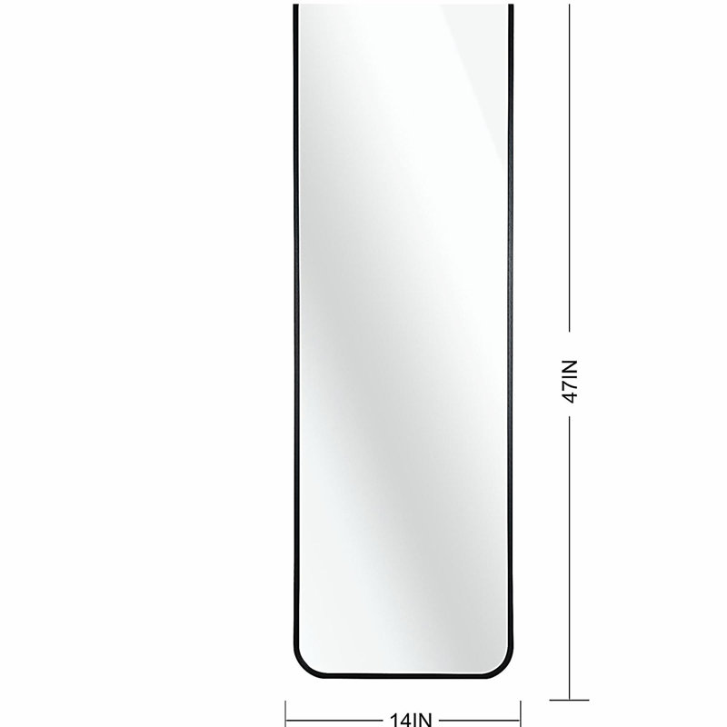 47 x 14IN Door mirror.(W2203P182244), Black