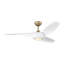 Visual Comfort Fan Topan Smart 52 LED Indoor Ceiling Fan with Threaded Downrod, Matte White ABS blades and Handheld Remote-976652459