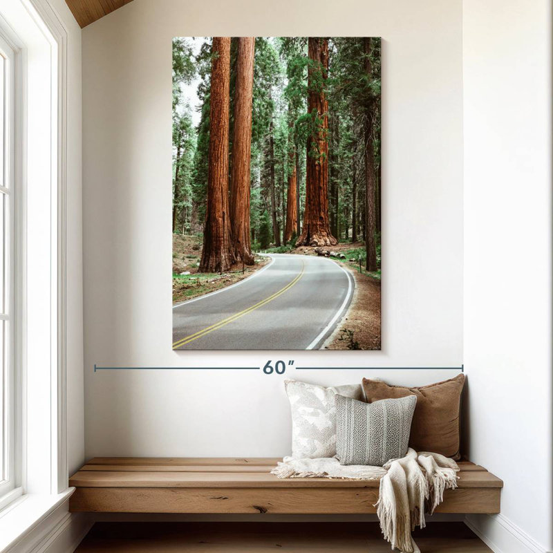 Sequoia Highway, H 51 po x l 34 po
