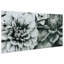 « fleurs », impression sur verre