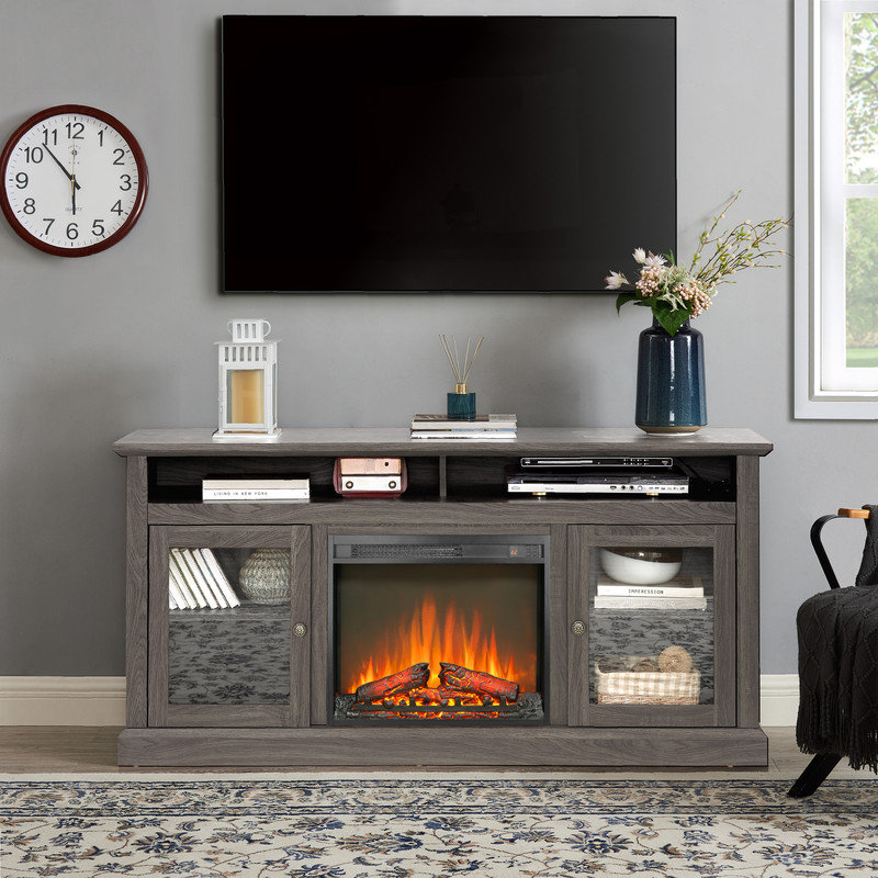 Symple Stuff 23" Electric Fireplace Insert | Wayfair