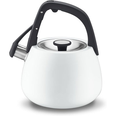 Cuisinart 2 pintes Bouilloire à sifflet en acier inoxydable, blanc mat, poignée grise (CTK-SS25MWC)