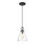 Luminaire suspendu 1 lumière Pays de Galles-239827376-239827387