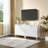 2 Door Storage Cabinet-1004717745