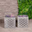 Planter Box