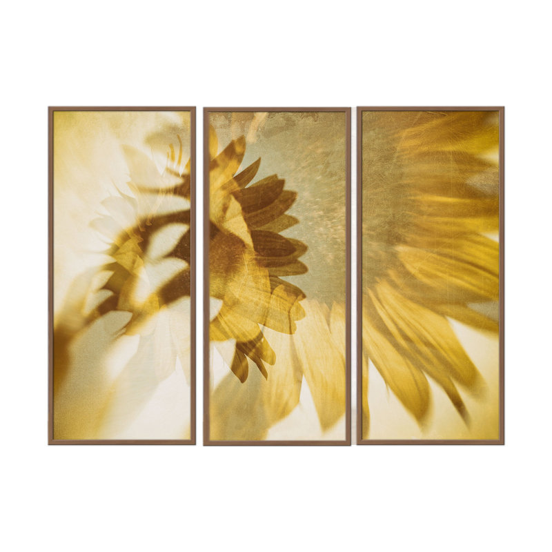 Nature Inspired  Just Like The Sun by - 3 Piece Picture Frame Graphic Art Set on Paper, 24" H x 36" W