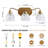 Vintage Bathroom Light Fixtures,Bathroom Vanity Light, Matte Antique Brass Finish With Crystal Glass Shade,(Gold/3-Light/Bulbs Not Included)-188729396