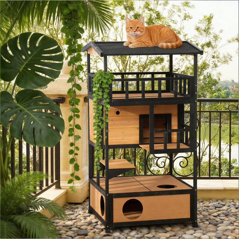 Maison pour animaux de compagnie, chat en bois pour l'extérieur, Noir, jaune
