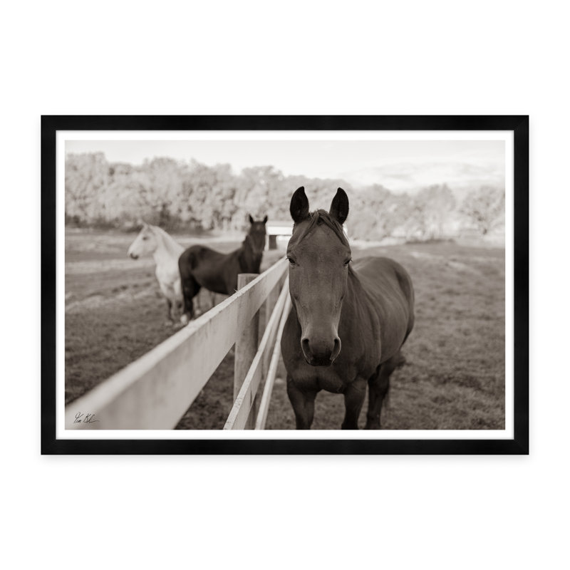 Pasture I