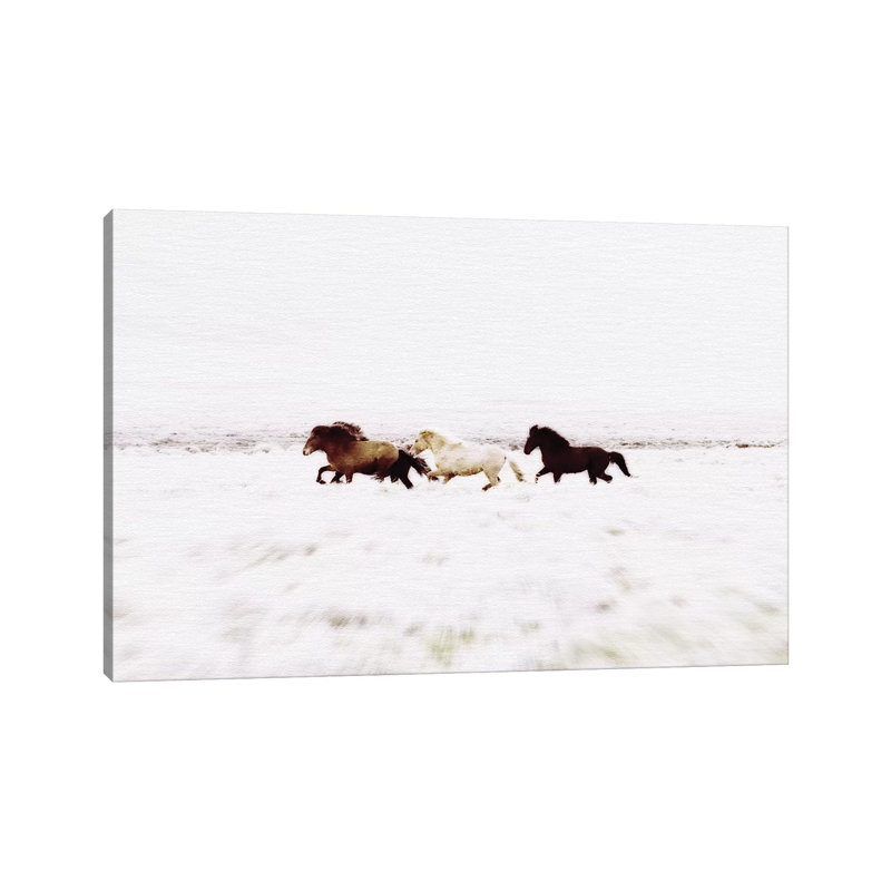 «Wild Horses Islande VIII Landscape» par Monika Strigel, reproduction de photo sur toile tendue, H 18 po x l 26 po x P 1,5 po
