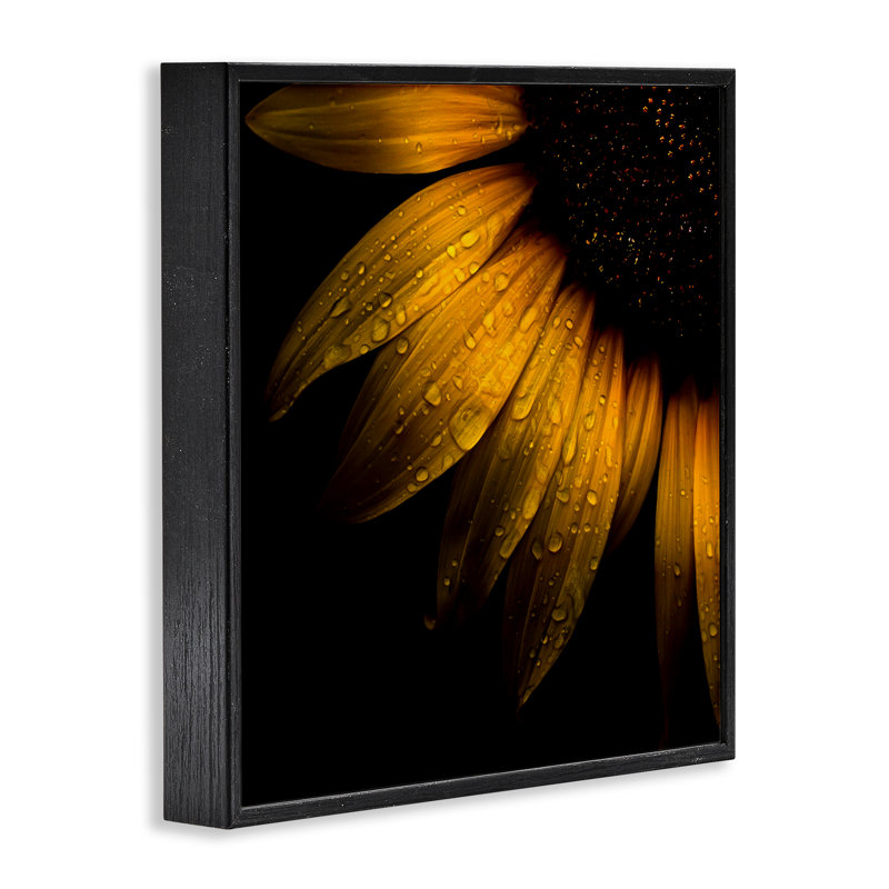 Tournesol avec gouttelettes encadrées, estampe numérique, design par Brian Carson, H 12 po x l 12 po