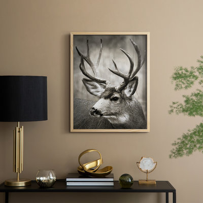 Focused Buck Framed Print - Solid Wood