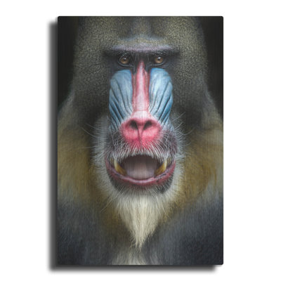 Mandrill 2 pi par SD Smart, art mural en métal